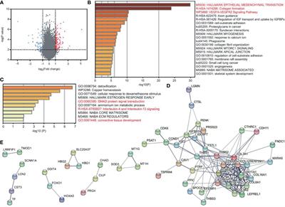 The Key Gene Expression Patterns and Prognostic Factors in Malignant Transformation from Enchondroma to Chondrosarcoma